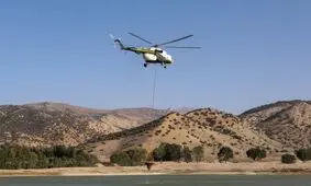 آتش سوزی جنگل های کردکوی استان گلستان اطفا شد