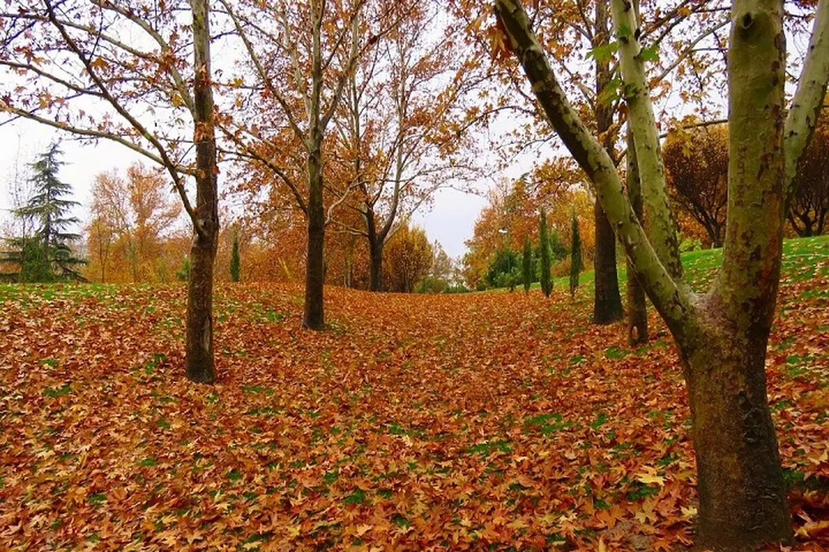 مکان‌های دیدنی تهران در پاییز