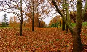 مکان‌های دیدنی تهران در پاییز