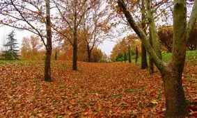 مکان‌های دیدنی تهران در پاییز