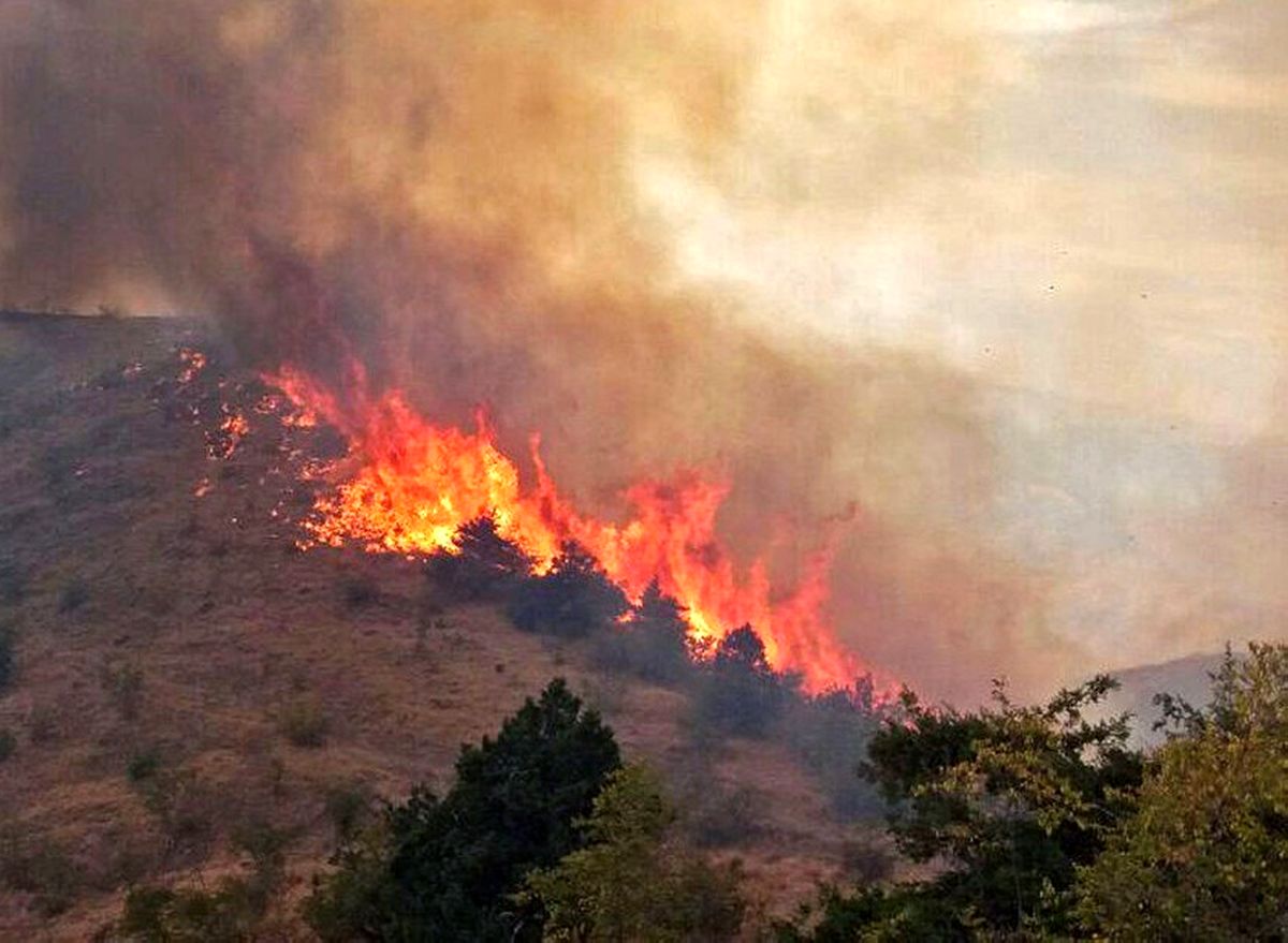 نیروهای نظامی به منطقه آتش‌ سوزی جنگل های کردکوی اعزام شدند