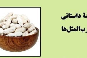 ریشه داستانی ضرب‌المثل‌ «کشکِ چه و پشمِ چه؟!»