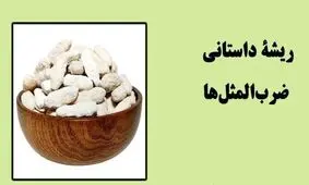 ریشه داستانی ضرب‌المثل‌ «کشکِ چه و پشمِ چه؟!»