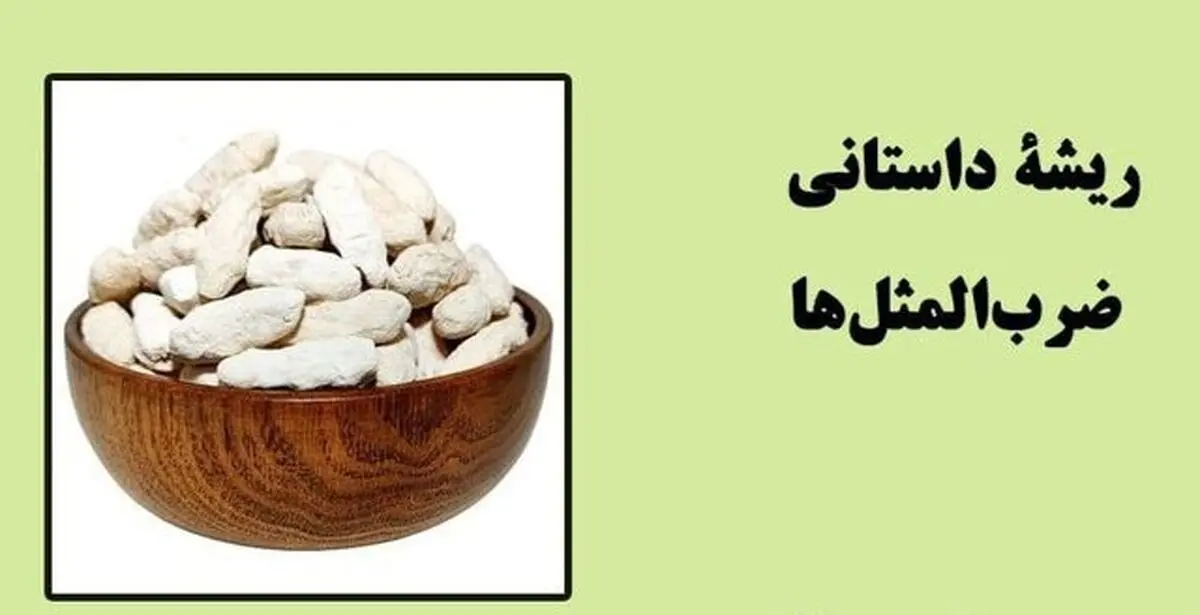 ریشه داستانی ضرب‌المثل‌ «کشکِ چه و پشمِ چه؟!»