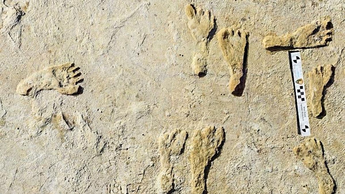 کشف قدیمی ترین ردپای انسان در آمریکا متعلق به ۲۳ هزار سال پیش