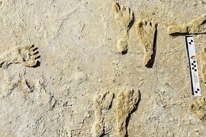 کشف قدیمی‌ ترین ردپای انسان در آمریکا متعلق به ۲۳ هزار سال پیش