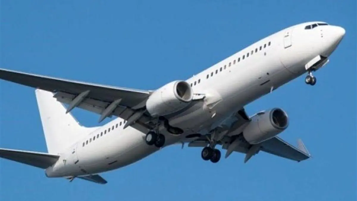 کسانی که ویزا ندارند، از فرودگاه برگردند/ پول بلیت آنها بازگردانده می شود/ ویدئو