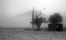 داستان ثبت یک عکس در تنهایی