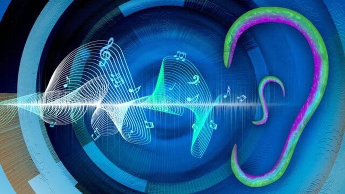 شنوایی کرم لولهای از طریق پوست!