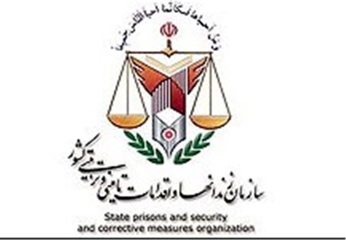 تشکیل کمیته بررسی فوت «امیرحسین حاتمی»