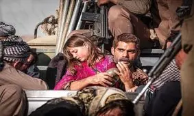 «درخت گردو»؛ بهترین فیلم جشنواره بایکال روسیه