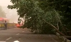 باد شدید قطعی برق در برخی مناطق گلستان را به همراه داشت