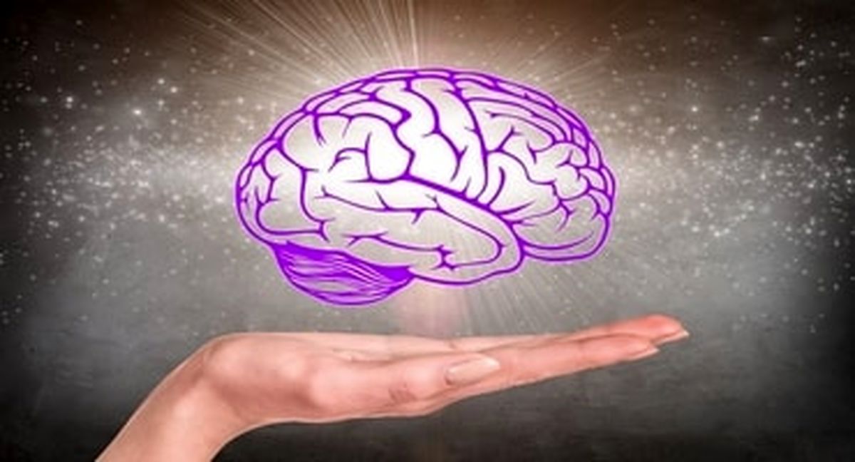 با کارکرد حیرت‌انگیز مغز آشنا شوید/ ویدئو