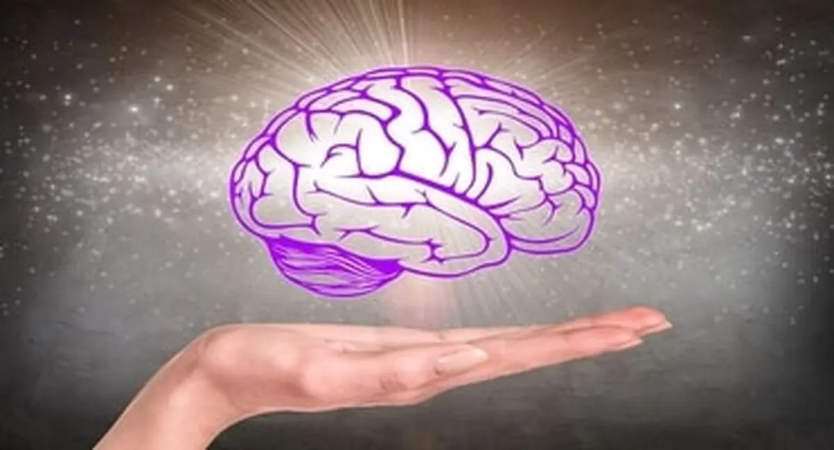 با کارکرد حیرت‌انگیز مغز آشنا شوید/ ویدئو
