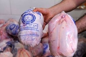 کاهش قدرت خرید مردم، مرغ را ارزان کرد؛ هر کیلو مرغ ۳۰ هزار تومان!