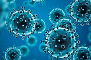 کشف یک مکانیسم ضد ویروسی که از بدن در برابر کروناویروس محافظت می‌کند
