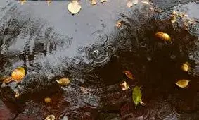 کاهش ۷۰ درصدی بارش‌ها در حوزه آبریز شرق