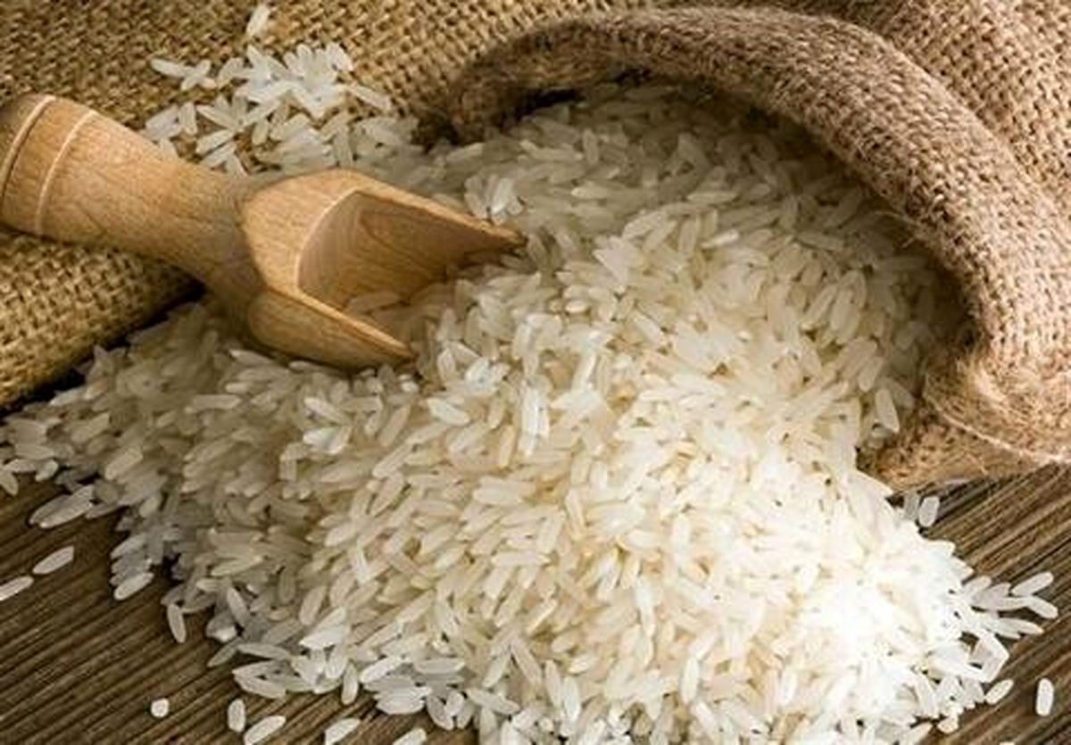 ارزانی برنج به ضرر امنیت غذایی کشور است!