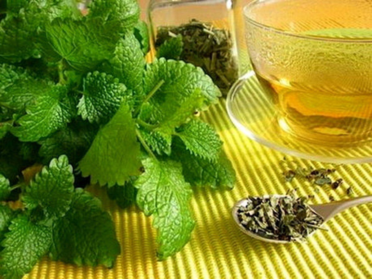 استفاده از چای بادرنجبویه در یک بیماری قلبی