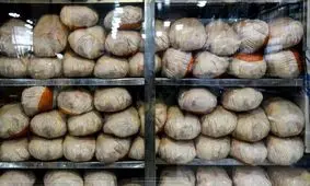 مرغ کیلویی چند؟