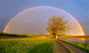 تصاویری شگفت انگیز از رنگین کمان دایره‌ ای که خورشید در مرکزش قرار داشت/ ویدئو