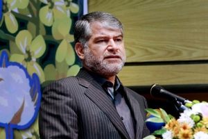 وزیر جهاد کشاورزی: بنیاد مستضعفان در تامین نهاده‌های دامی ورود کند