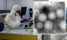 ظهور ویروسی جدید در ژاپن