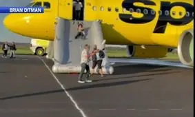 پرنده ای که هواپیما را به آتش کشید/ ویدئو