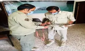 تمساح به دل سرباز زد!