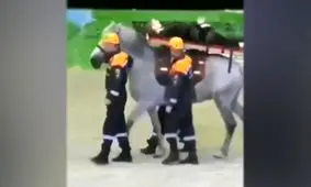 امدادرسانی خنده دار و جالب در یک مانور/ ویدئو