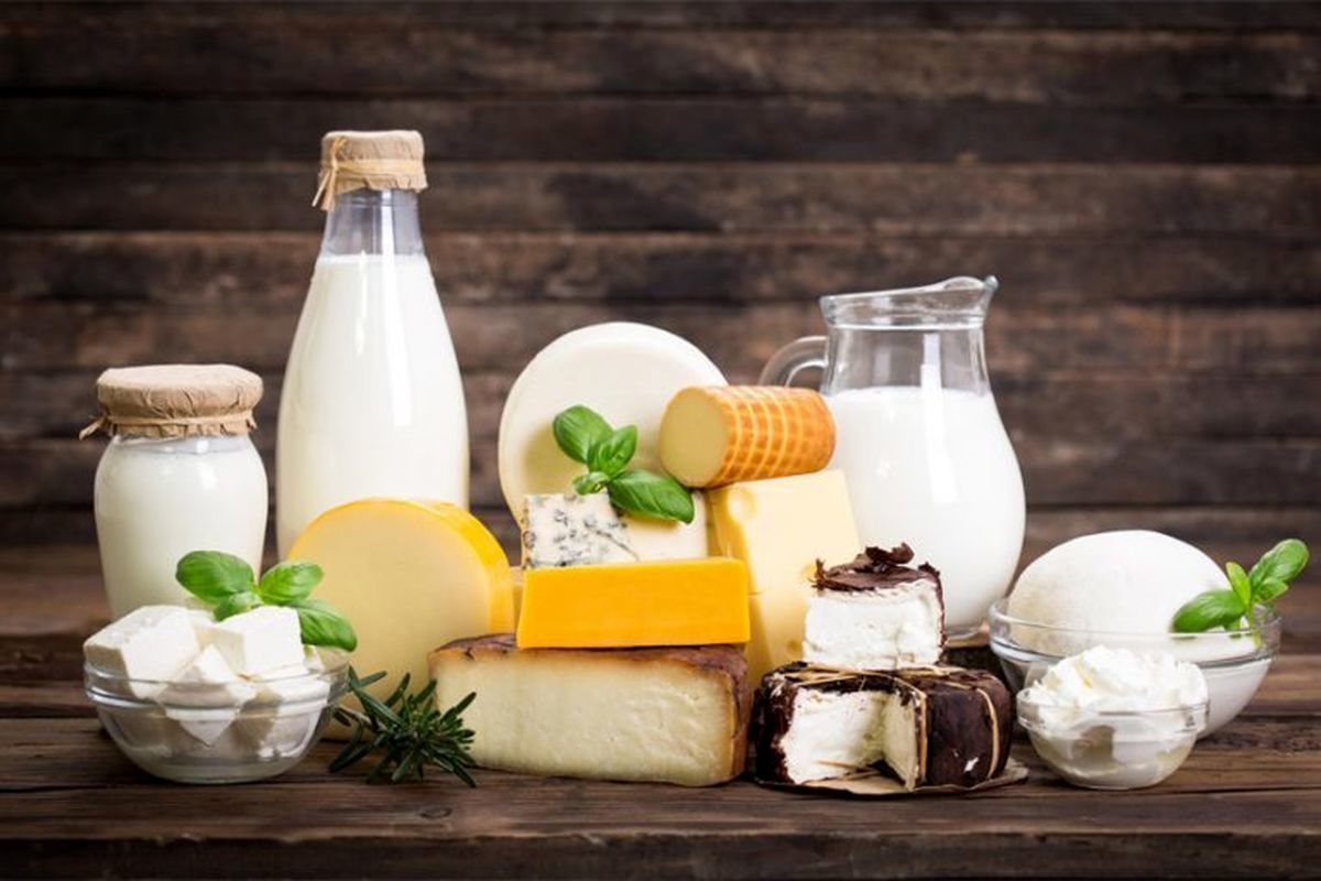 کاهش ۱۰ درصدی قیمت شیر، پنیر و ماست از شنبه