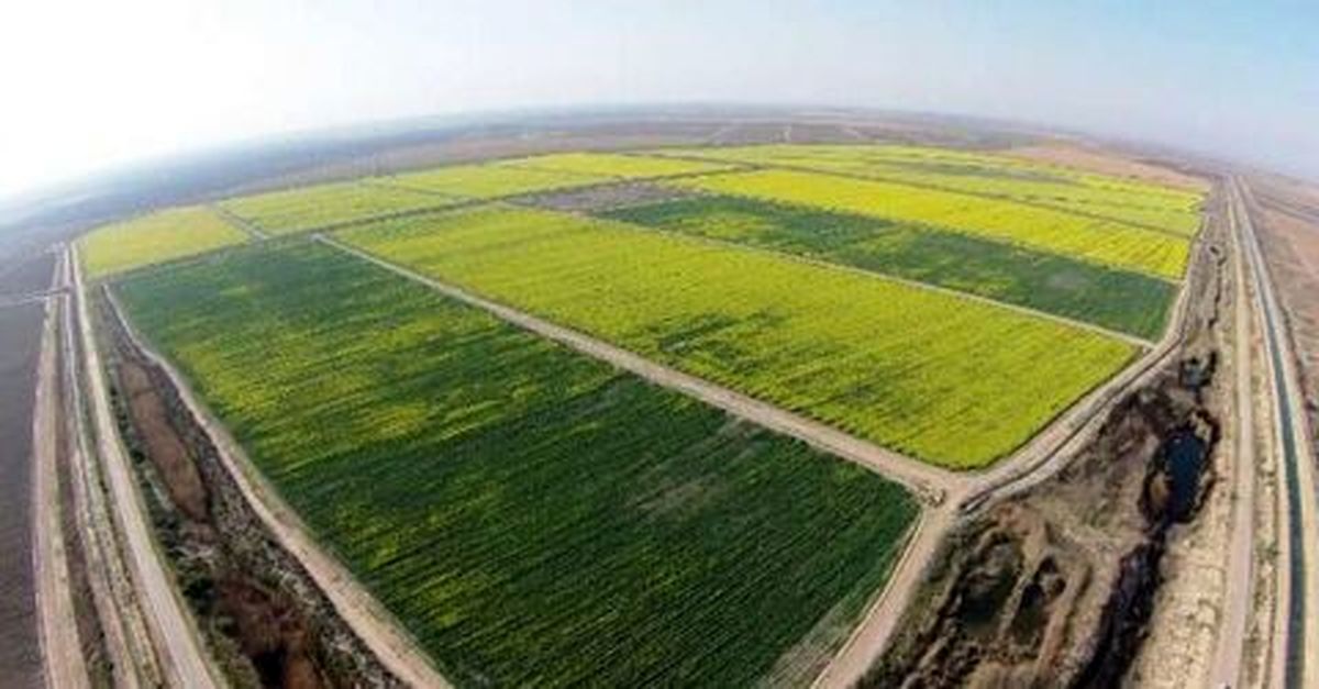 مطالبه کشاورزان خوزستانی برای اجرای فاز دوم طرح 550هزار هکتاری توسط موسسه جهاد نصر+سند