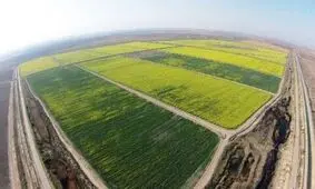 مطالبه کشاورزان خوزستانی برای اجرای فاز دوم طرح 550هزار هکتاری توسط موسسه جهاد نصر+سند