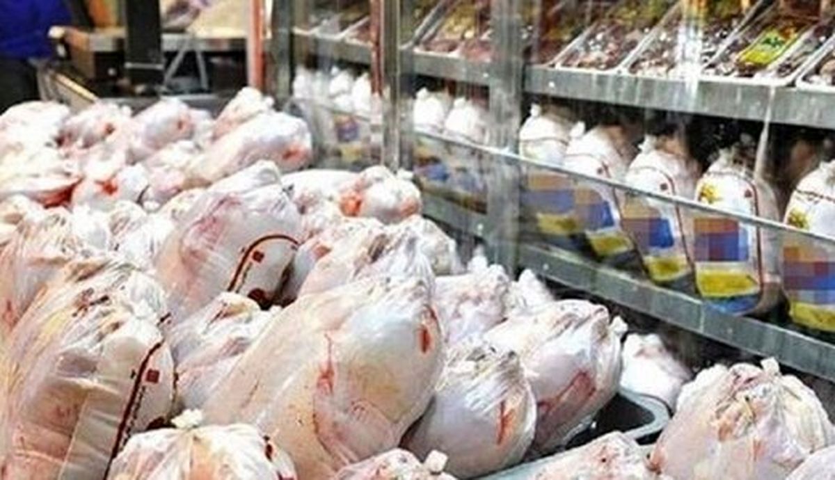 دامپزشکی: مرغ های ایرانی تریاکی نیستند!