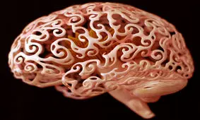 بیماری عجیب مردی که دیگر نمی‌توانست تصاویر را مجسم کند