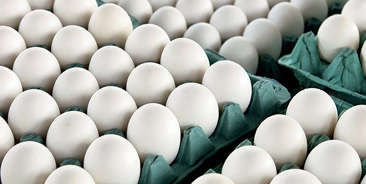 تخم مرغ دانه ای چند؟