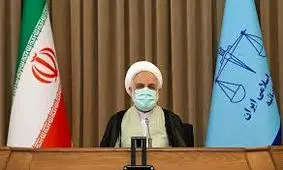 دو میلیون و ۵۰۰ هزار نفر شاکی پرونده‌ های موسسات مالی و اعتباری غیر مجاز بودند/ ویدئو