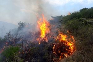 آتش‌ سوزی گسترده در ارتفاعات کازرون