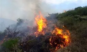 آتش‌ سوزی گسترده در ارتفاعات کازرون