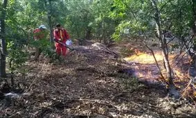 جنگل ها و مراتع منطقه مزیز گناوه لری گچساران دوباره آتش گرفت