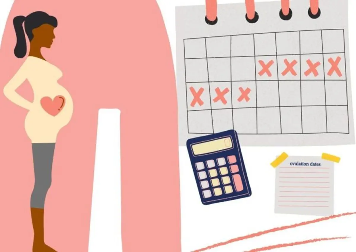 زمان تخمک گذاری زنان چه وقت است؟