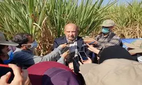 شروع برداشت نیشکر در مجتمع‌های هفتگانه خوزستان