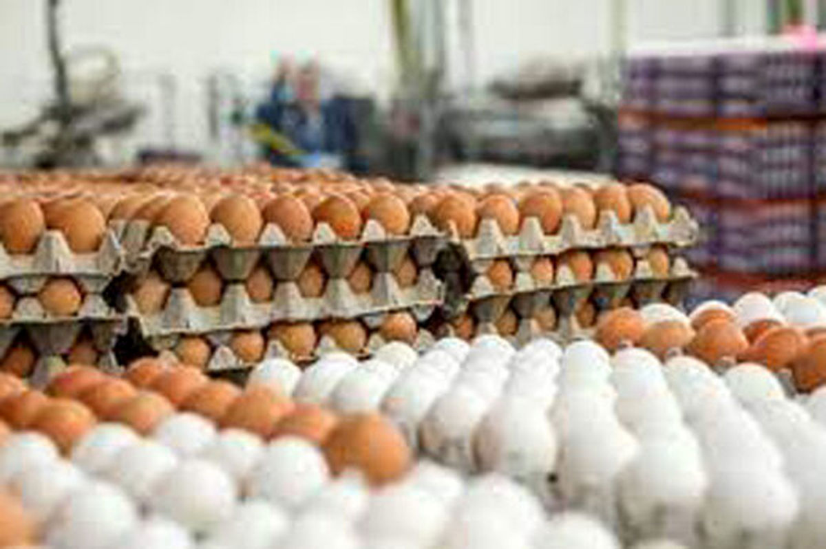 خوردن ۵ تخم مرغ در هفته اشکالی ندارد