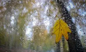 کاهش دمای ۸ استان به زیر صفر/ از محصولات کشاورزی محافظت کنید