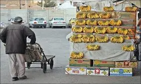 میوه گران در سبد استان ها