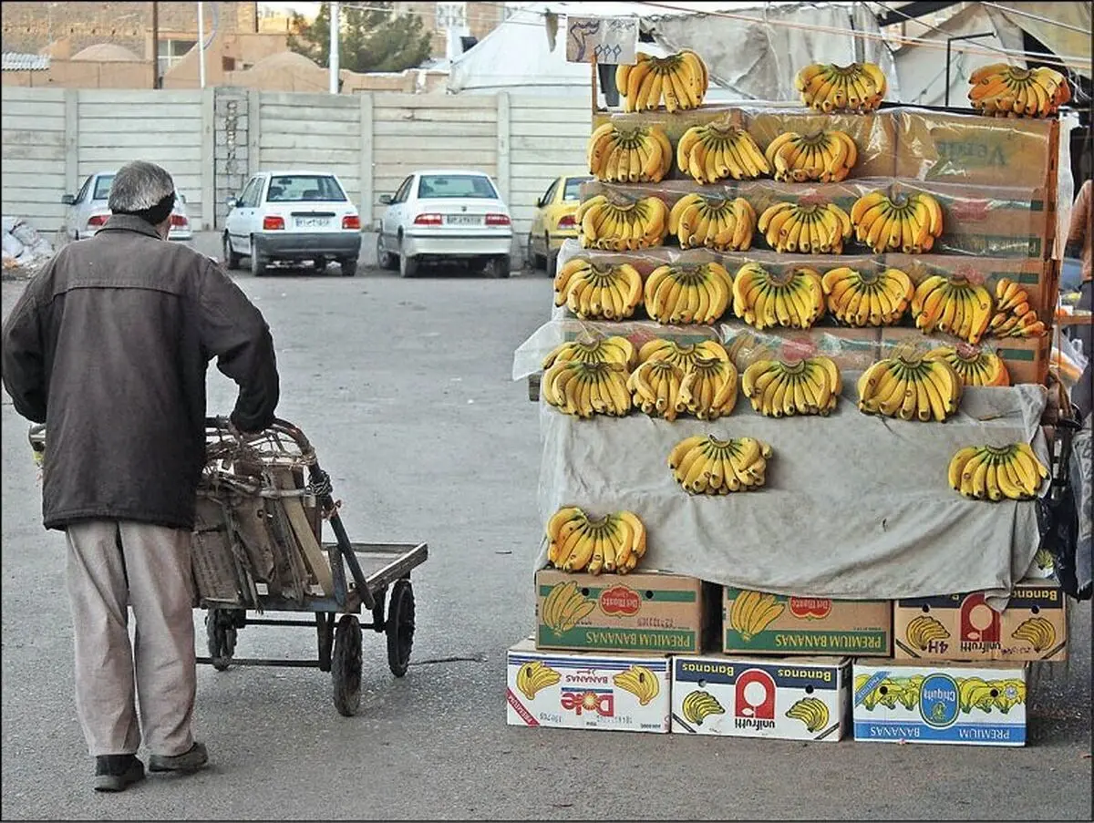 میوه گران در سبد استان ها