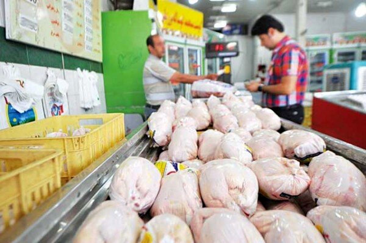 کاهش نسبی قیمت مرغ
