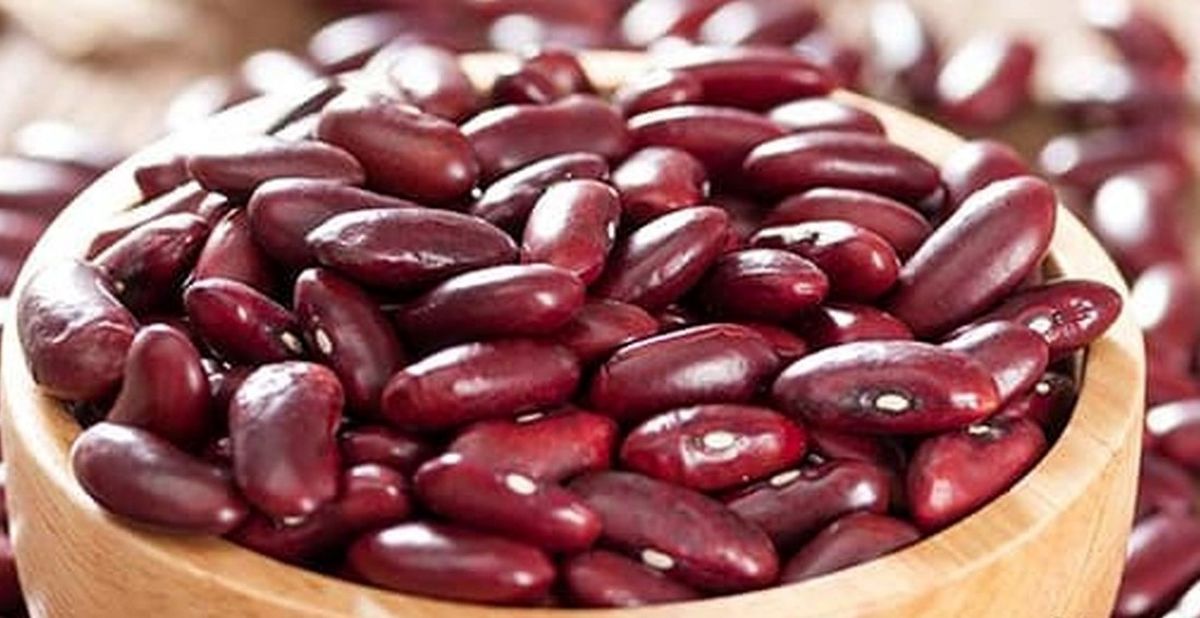 لوبیا قرمز در یک قدمی۵۰ هزار تومانی شدن | قیمت حبوبات باز هم بالا رفت