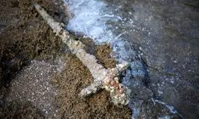 کشف شمشیر ۹۰۰ ساله جنگ‌‌ های صلیبی در سواحل اسرائیل/ ویدئو