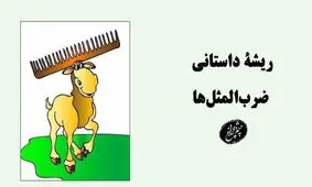 ریشه «شاخ‌وشانه کشیدن» چیست؟